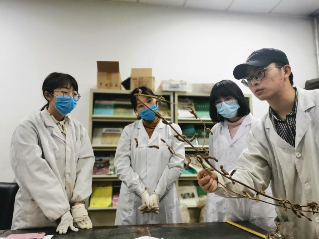 志愿者参加育种、考种工作