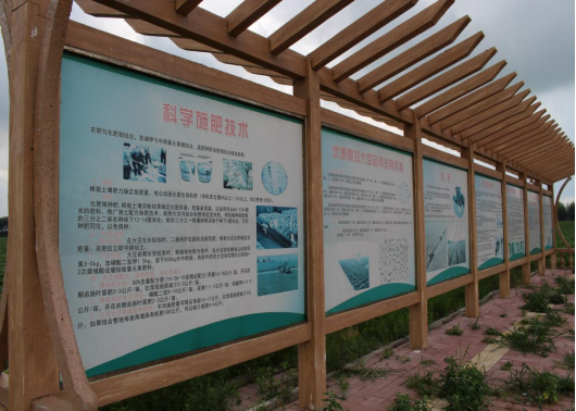 参观大豆示范园区