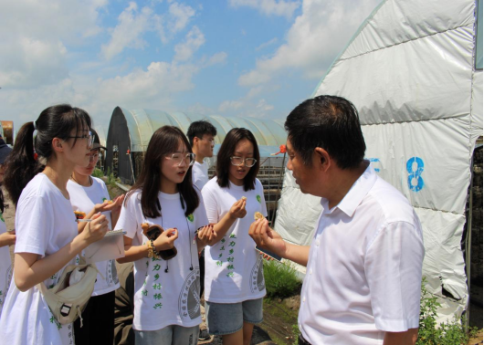 参观黑臻集团黑木耳标准化示范基地